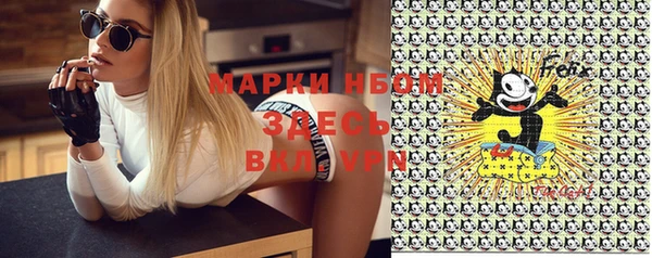PSILOCYBIN Пересвет