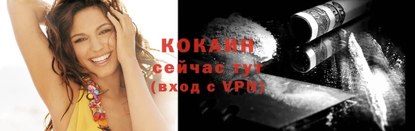 PSILOCYBIN Пересвет