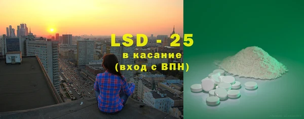 PSILOCYBIN Пересвет