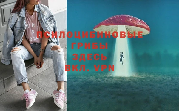 амфетамин Осинники