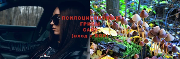 PSILOCYBIN Пересвет