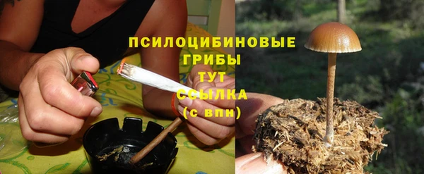 PSILOCYBIN Пересвет