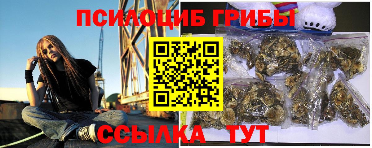 Галлюциногенные грибы мицелий Челябинск