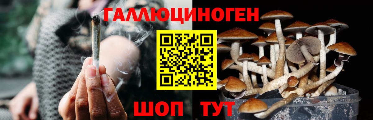 Челябинск  Псилоцибиновые грибы мицелий  Вход с VPN 